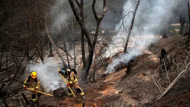 Wildfires Spread Rapidly Across Chile, Government Deploys Army for Emergency Response